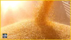 दुनिया जहान