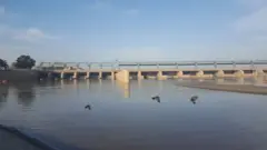 پنجاب