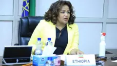 Minister Deetaa, Ministera Dhimma Alaa Itoophiyaa, Ambasadar Birtukaan Ayyanoo