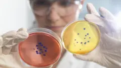 ஆய்வகங்களில் உருவாக்கப்படும் செயற்கை உயிரிகள்