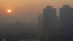 تهران
