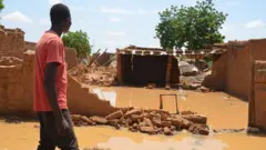 5.000 habitations ont été détruites par les eaux au Niger