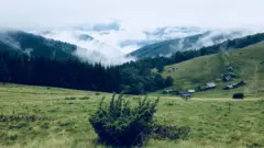 Карпати