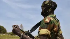 A West African soldier stands guard