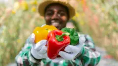 Afrique Avenir reçoit trois jeunes entrepreneures dans l'agribusiness du Madagascar et du Congo Brazzaville