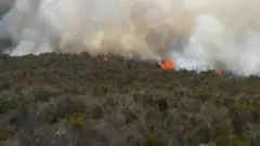 Kilimanjaro