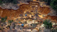 Illegal mining camp near the Uraricoera river