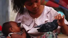 ملګري ملتونه