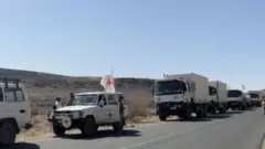 እርዳታ የጫኑ መኪኖች
