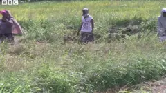 কীটনাশকে আত্মহত্যা