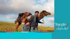 رحلة "جمل السلام" في لبيبا