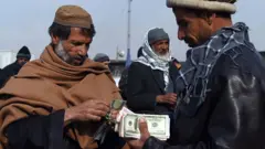 Taliban, Afghanistan