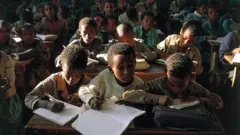 ተማሃሮ ኣብ ክፍሊ