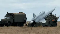 стриж