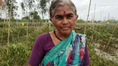 सांगली, कोल्हापूर