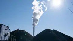 kömür