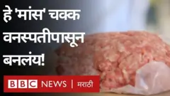 आईसलँड, शाकाहारी मांस