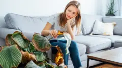 Mujer mirando una planta en mal estado