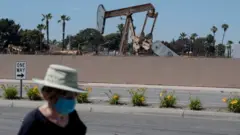 oil