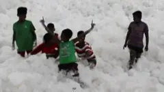 विषाक्त फिँज
