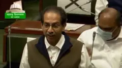 हिवाळी