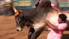 பாலமேடு