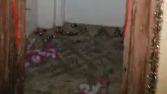 पाकिस्तान