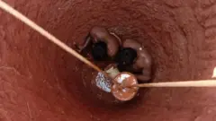 బెంగళూరు, బావి