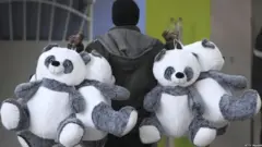 सांकेतिक तस्वीर