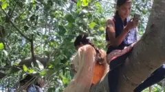 மரத்தில் ஏறி ஆன்லைன் வகுப்பில் கலந்துகொள்ளும் மாணவர்கள்.