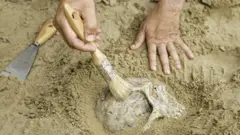 அகழாய்வுகள்