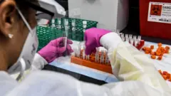 Создание вакцины