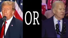 trump and biden