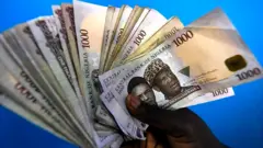 Nigerian notes