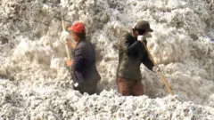 중국, 신장서 강제노역으로 면화를 생산했다는 새 증거가 나왔다