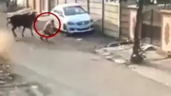 राजकोट गाय का हमला