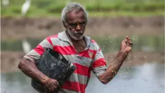 ඖෂධීය වටිනාකම විද්‍යාත්මකව තහවුරු කළ දේශීය සහල් වර්ග හතර