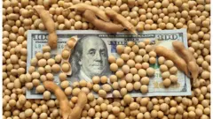 Un billete de 100 dólares cubierto de granos de soja