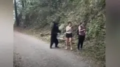 বন্য ভালুকের সাথে তোলা হলো সেলফি