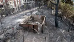 Hatay'daki yangında çok sayıda ev ve iş yeri zarar gördü