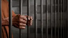 પ્રતીકાત્મક તસવીર