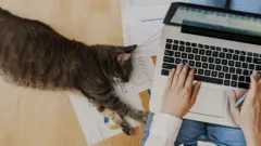 Работа из дома