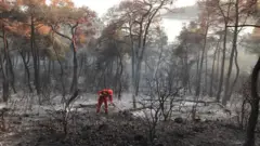 yangın