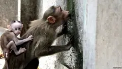 चेन्नई