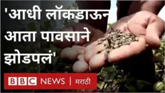 शेती