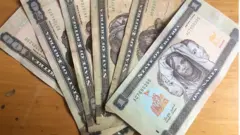 Naaqfaa Ertiraa
