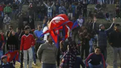 क्रिकेट दर्शक