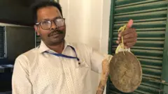 सिलेबेस्तर कुल्लू