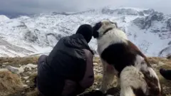 Đorđe sa psom Dingom