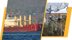 випуск новин